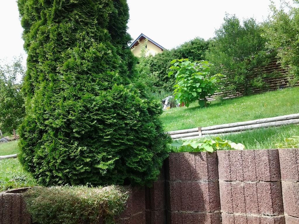 Ferienhaus Waldblick Sangerhausen Exterior photo